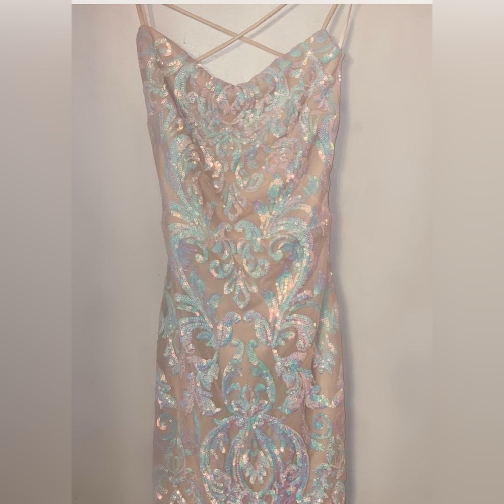 Windsor Iridescent Sequin Embellished Dress